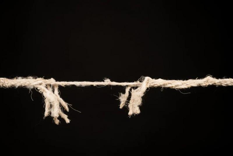 茅台还在苦撑,片仔癀价格先崩了